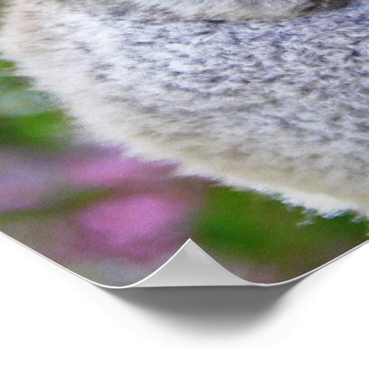 Cute Koalas Poster (Hoek)