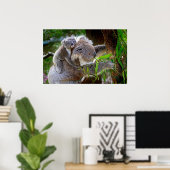 Cute Koalas Poster (Thuiskantoor)
