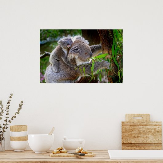 Cute Koalas Poster (Keuken)