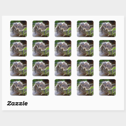 Cute Koalas Vierkante Sticker (Vel)