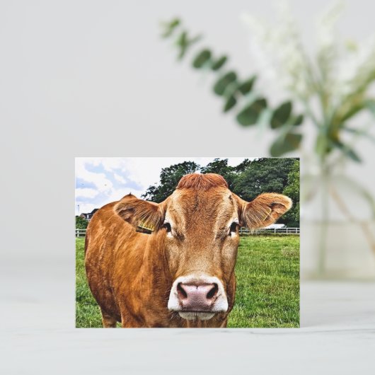 CUTE KOE BRIEFKAART (Staand voorkant)