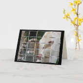 Cute koe for Get Well Kaart (Gele Bloem)