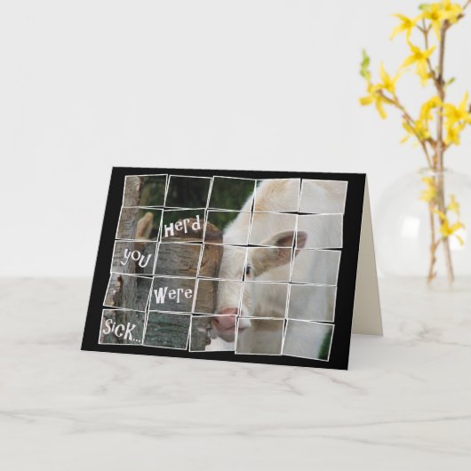 Cute koe for Get Well Kaart (Gele Bloem)