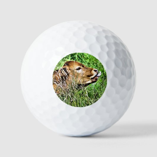 CUTE KOE GOLFBALLEN (Voorkant)
