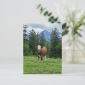 Cute koe in Allgaeu - Beieren, Duitsland Briefkaart (Staand voorkant)