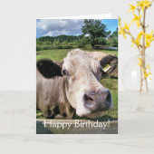 CUTE KOE KAART (Gele Bloem)