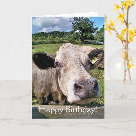 CUTE KOE KAART (Gele Bloem)