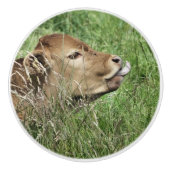 CUTE KOE KERAMISCHE KNOP (Voorkant)