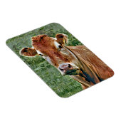 CUTE KOE MAGNEET (Rechterzijde)