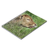 CUTE KOE NOTITIEBOEK (Linkerzijde)