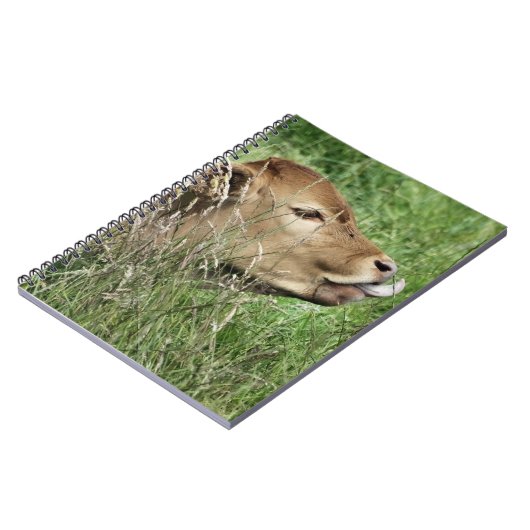 CUTE KOE NOTITIEBOEK (Linkerzijde)