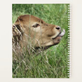 CUTE KOE PLANNER (Achterkant)