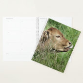 CUTE KOE PLANNER (Display)