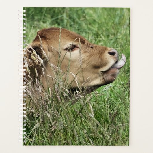 CUTE KOE PLANNER (Voorkant)