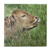 CUTE KOE TEGELTJE (Voorkant)