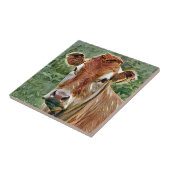 CUTE KOE TEGELTJE (Zijkant)