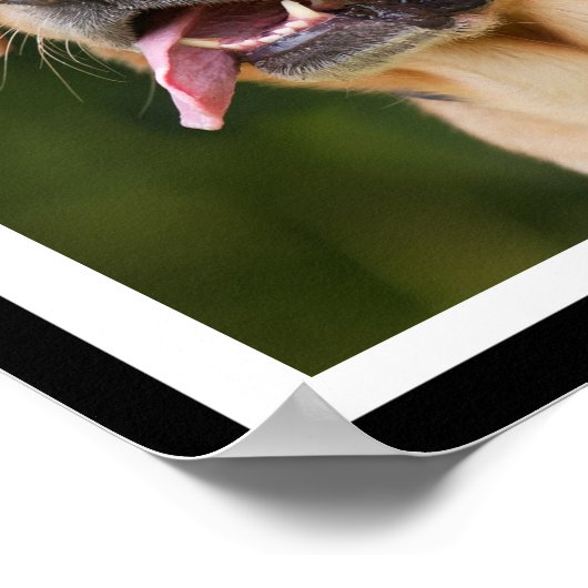 Cute koffiedrink Labrador, aangepast Poster (Hoek)