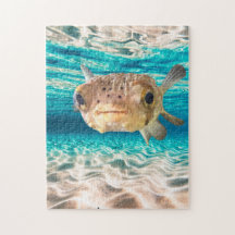 Cute Kogelvis Oceandier Kunst