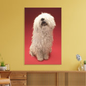 Cute Komondor Dog Canvas Afdruk (Insitu (Woonkamer))