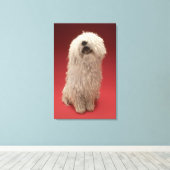 Cute Komondor Dog Canvas Afdruk (Insitu (Houten vloer))