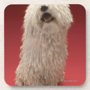 Cute Komondor Dog Drankjes Onderzetter