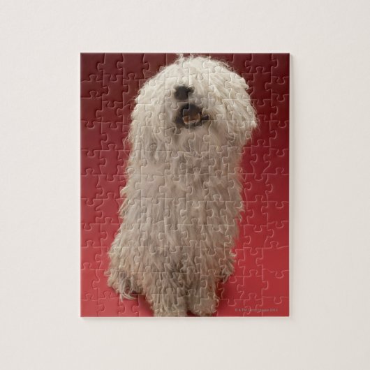 Cute Komondor Dog Legpuzzel (Verticaal)