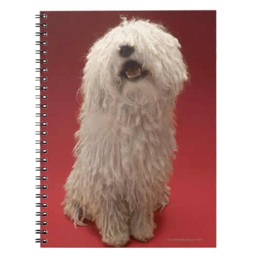 Cute Komondor Dog Notitieboek (Voorkant)