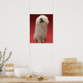 Cute Komondor Dog Poster (Keuken)