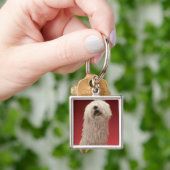 Cute Komondor Dog Sleutelhanger (Hand)