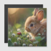 Cute konijn en een lieveheersbeestje op het groene (Voorkant / Achterkant)