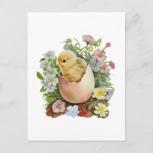 Cute Kuiken in de Eierschaal & Waterverf Bloemen Briefkaart