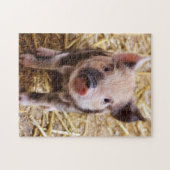 Cute KuneKune Piglet Legpuzzel (Horizontaal)