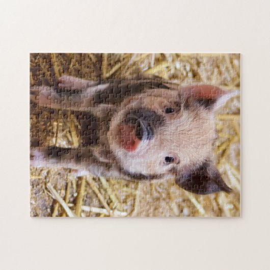 Cute KuneKune Piglet Legpuzzel (Horizontaal)