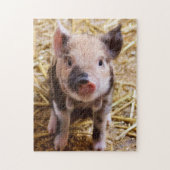 Cute KuneKune Piglet Legpuzzel (Verticaal)