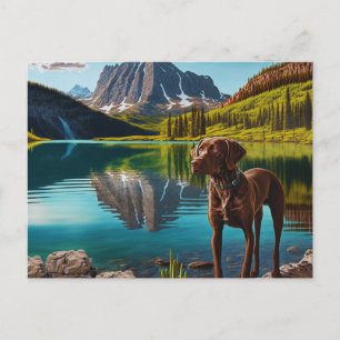 Cute Lab Dog Chocolate Labrador Retriever Animal Briefkaart