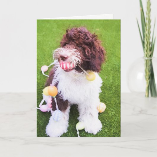 Cute Labradole Easter Egg Hunt Kaart (Voorkant)