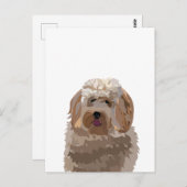 Cute Labradoodle Dog Briefkaart (Voorkant / Achterkant)