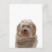 Cute Labradoodle Dog Briefkaart (Voorkant)