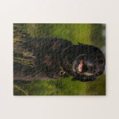 Cute Labrador Black Dog Puppy Pet Legpuzzel (Horizontaal)