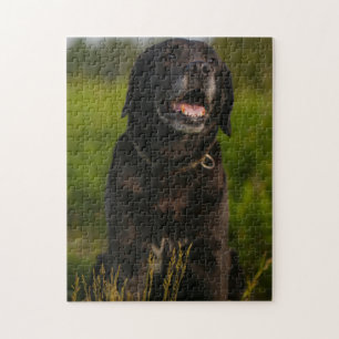 Cute Labrador Black Dog Puppy Pet Legpuzzel