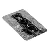 Cute Labrador Black Dog Puppy Pet Magneet (Rechterzijde)