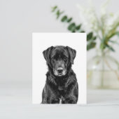 Cute Labrador Black Dog Puppy Pet Sketch Briefkaart (Staand voorkant)