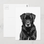 Cute Labrador Black Dog Puppy Pet Sketch Briefkaart (Voorkant / Achterkant)