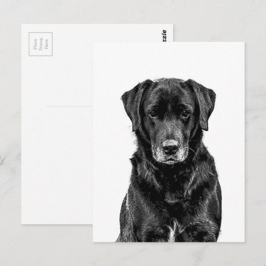 Cute Labrador Black Dog Puppy Pet Sketch Briefkaart (Voorkant / Achterkant)