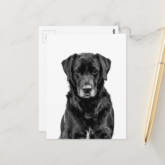 Cute Labrador Black Dog Puppy Pet Sketch Briefkaart (Voorkant / Achterkant in situ)