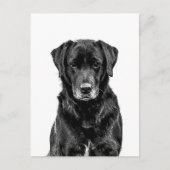 Cute Labrador Black Dog Puppy Pet Sketch Briefkaart (Voorkant)
