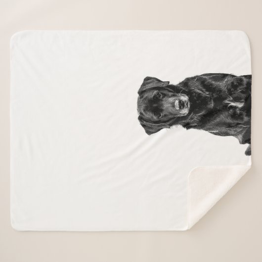 Cute Labrador Black Dog Puppy Pet Sketch Sherpa Deken (Voorkant (horizontaal))