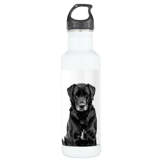 Cute Labrador Black Dog Puppy Pet Sketch Waterfles (Voorkant)