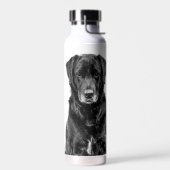 Cute Labrador Black Dog Puppy Pet Waterfles (Links)