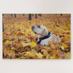 Cute Labrador Dog in Fall Leaves Legpuzzel